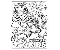 Tigers are active at twilight and at night, but also go hunting during the day. Coloring Page Tiger Family San Diego Zoo Kids