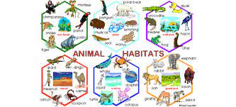 Habitat definition, the natural environment of an organism; Habitats Welcome To 4th Grade