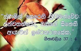 Check spelling or type a new query. Sinhala Bible Words Wallpaper Jesus Words Images Sinhala 709x450 Download Hd Wallpaper Wallpapertip