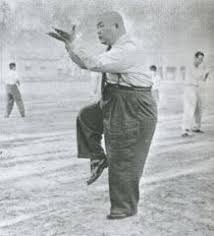 Wang Monkey Jpg 218 240 Chinese Martial Arts Tai Chi Chuan Traditional Martial Arts