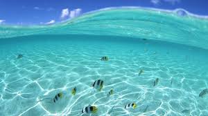 We have a massive amount of hd images that will make your computer or smartphone look absolutely fresh. Nature Wallpapers Hd Ocean Lzamgs Desktop Wallpapers Hd 4k Apple Wallpapers For Windows 10