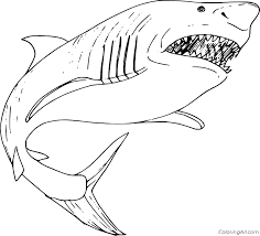 Big Megalodon Coloring Page Coloringall Home sitemap christmas coloring pages dinos domestic animals easter fiction flowers food haloween. big megalodon coloring page coloringall