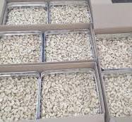 Color Sorting and Grading in Cashew Processing - Cashew ...