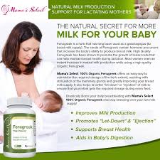 During the second week three capsules of fenugreek. Organic Fenugreek Mama S Select Mama S Select