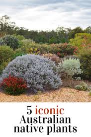 We did not find results for: Drought Tolerant Gardens Australia Idioticfashion