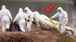 Euphrates River Drying Up Reveals Ancient Caves and Graves