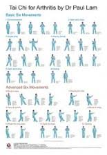 Warm Up And Cool Down Exercises Wall Chart Smiling Dragon