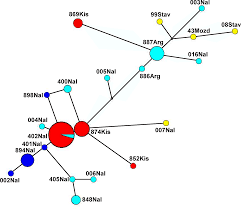 Compare miles radius & kms radius to drive time areas & more. Plos One Phylogeographic Structure Of The Common Hamster Cricetus Cricetus L Late Pleistocene Connections Between Caucasus And Western European Populations