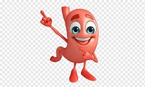 Stomach Abdomen Gastric Acid Digestion Others Cartoon Character Hand Cartoon Png Pngwing Download clker's stomach clip art and related images now. stomach abdomen gastric acid digestion