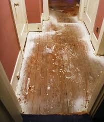 Good Questions Removing Paint Effectively Off Wood Floors Refinishing Hardwood Floors Diy Hardwood Floors Refinishing Floors