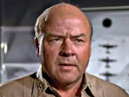 Gregory "Pappy" Boyington. V.M.F-214, US Marines Corps.