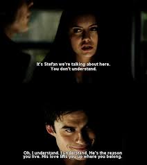 I didn't let love get in the way. Funny Damon And Elena Quotes Quotesgram