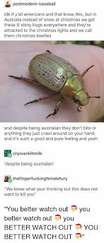 They are known as christmas beetles because they are abundant in both urban and rural areas close to christmas. Postmodern Baseball Idk If Y All Americans And That Know This But In Australia Instead Of Snow At Christmas We Get These Lil Shiny Bugs Everywhere And They Re Attracted To The Christmas Lights And