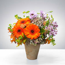 Hours may change under current circumstances Terracotta Flower Time By Bloomnation In Rochester Ny Personal Designs Florist Inc