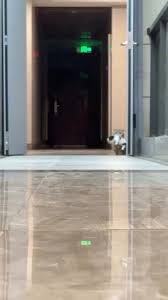 @TheCatsX's video Tweet