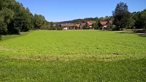 5 estg (→ gebäudeabschreibung) abzuschreiben (r 7.1 abs. Flexibel Bauen Am Pachtgrund Mit Mccube Hauser Zum Mitnehmen