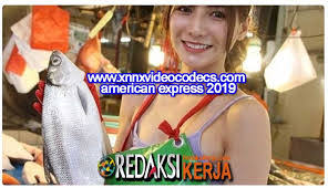 Www xnnxvideocodecs com american axpress 2019 indonesia . Www Xnnxvideocodecs Com American Express 2019 Indonesia Terbaru