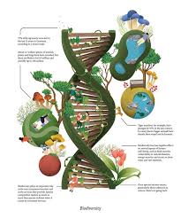 Aspb Ø¯Ø± ØªÙÛÛØªØ± An Infographic On Plants Nature And Human Interactions Https T Co Uh6m3fu8ib Plantsci