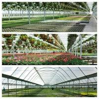 Discover more posts about limaohio. Amherst Greenhouse Harrod Oh
