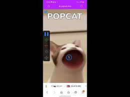Popcats is messing the night, you must stop them. How To Use An Autoclicker For Popcat Easy Youtube