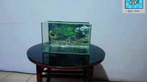#55 bonsai aquascape ukuran 40cm. Aquarium Kaca 40 X 20 X 25 Rp 70 000 Youtube