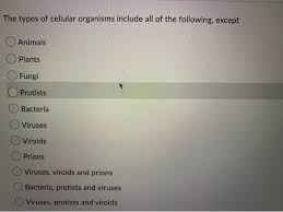 We did not find results for: The Types Of Cellular Organisms Include All Of The Chegg Com