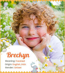 Explore Kenney: Meaning, Origin & Popularity