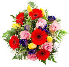 During the first weeks of flowering such an avenue is a joy to behold, but after some weeks we turn it flowers earlier than the previous tree and is much more common on the line of the ghats. Transparent Bouquet Of Flowers Novocom Top