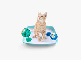 It's important to drink plenty of water every day to stay healthy. Pretty Litter Review Keeping Tabs On Your Cat S Health Wired