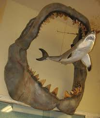 Because shark skeletons are made of cartilage that doesn't fossilized easily, scientists just have the teeth to go on when estimating maximum size. Totally Terrifying Prehistoric Sea Monsters Megalodon Megalodon Shark Prehistoric Animals