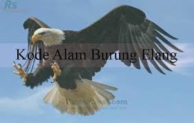 We did not find results for: Kode Alam Burung Elang 2d 3d 3d Menurut Primbon Erek Erek