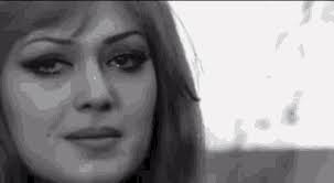 WFMU: What's Happening?!?! with Matt Clarke and Mike Sin: Playlist from  November 12, 2024