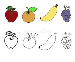 Fruit pictures to colour in. Ilustration Of Isolated Fruits Colorful And Black White Coloring Book For Children Stock Illustration Illustration Of Fruits Coloring 169203656