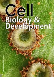 Image result for Pouteria adolfi-friederici