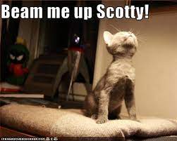 #stid spoilers #beam me up scotty #nurse chapel appreciation blog. Beam Me Up Scotty Cheezburger Funny Memes Funny Pictures