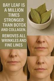 Bay leaf removes wrinkles and fine lines