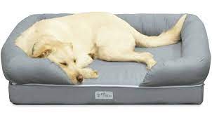The exterior is soft and cozy fleece with a poly interior and a surrounding raised bolster to use as a headrest if desired. Best Dog Beds Large Small Dog Bed Uk 2021 Guide