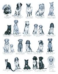 Presidential Pets Illustrated Art Print By Lauren Friedman Dog Milk Cat Questions Dog Milk Modern Pet