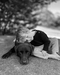 Lucy Sheedy Photographer added...