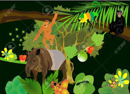 We did not find results for: In South American Rainforest Tapir Howler Monkeys Plants Flowers Illustration Royalty Free Cliparts Vectors And Stock Illustration Image 56058227