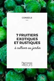 7 Fruitiers Exotiques Et Rustiques A Cultiver Au Jardin Fruitier Cultiver Des Arbres Fruitiers Jardins