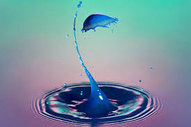 Liquid Drop Art Water Art Camera Art Cool Pictures