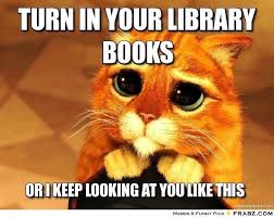 Caturday is here to slay (36 cat memes). Falvey Memorial Library Caturday Cat Meme Collection