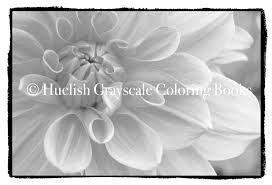 And many more similar colorings under the heading «» on the site «coloring pages for you». Downloadable Grayscale Coloring Page Dahlia Flower From Beautiful Nature
