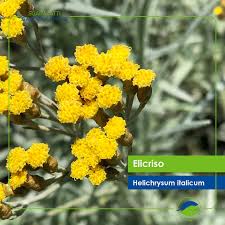 Maybe you would like to learn more about one of these? Sgaravatti Garden Center Beitrage Facebook