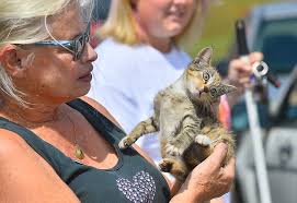 PHOTOS: Good samaritans rescue cats in Chesnee