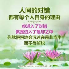 亦无所来 亦无所去 做人有时候就像 我来过人间 又没有来过人间 一样 我学过佛法 又像没有学过佛法 一样 一切都是平静的 一切亦无所去 因为亦无所来 有了也像没有过一样 没有过又像有了一样 plants