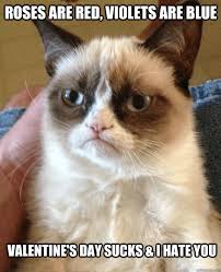 Valentine's day is always a good target for the meme factory that is the internet. 11 Grumpy Cat Anti Valentine S Day Memes Surviving College