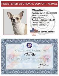 For more information on esa's and service animals, please contact service dog certifications. Pin On Pets