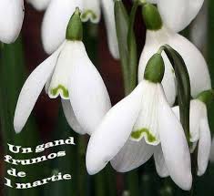 Bineinteles ca am primit si eu martisor, ba chiar si alte atentii. Alege Ti Doua Poze Libere Cu Martisor De 1 Martie Primavara Giuliasweety